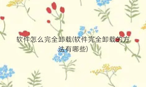 软件怎么完全卸载(软件完全卸载的方法有哪些)