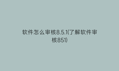 软件怎么审核8.5.1(了解软件审核851)