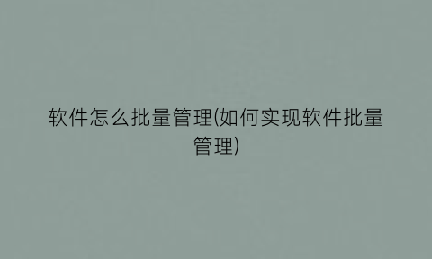 软件怎么批量管理(如何实现软件批量管理)