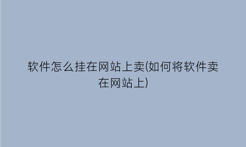 软件怎么挂在网站上卖(如何将软件卖在网站上)