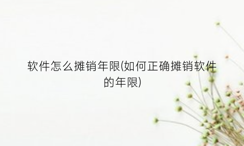 软件怎么摊销年限(如何正确摊销软件的年限)