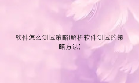 “软件怎么测试策略(解析软件测试的策略方法)
