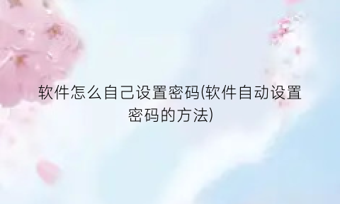“软件怎么自己设置密码(软件自动设置密码的方法)