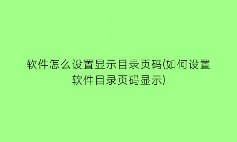 软件怎么设置显示目录页码(如何设置软件目录页码显示)