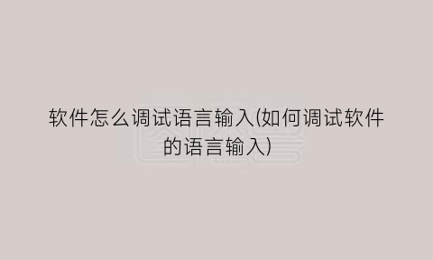 软件怎么调试语言输入(如何调试软件的语言输入)