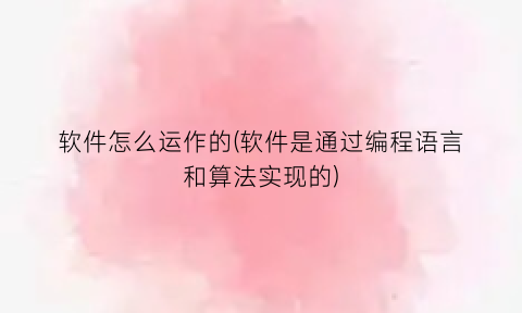 软件怎么运作的(软件是通过编程语言和算法实现的)