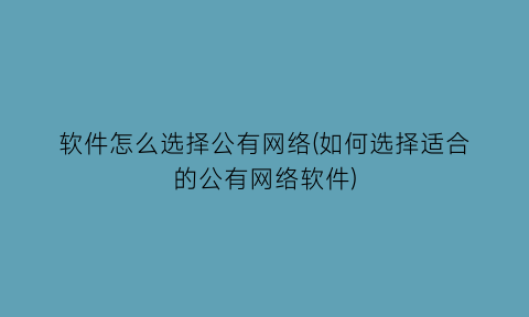 软件怎么选择公有网络(如何选择适合的公有网络软件)