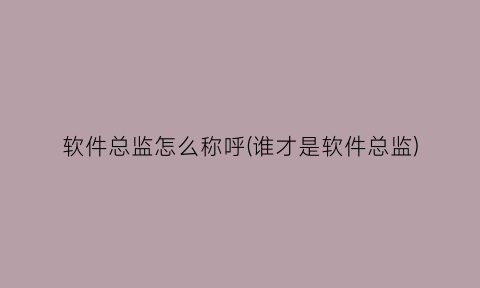 “软件总监怎么称呼(谁才是软件总监)