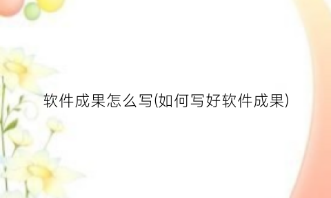 “软件成果怎么写(如何写好软件成果)