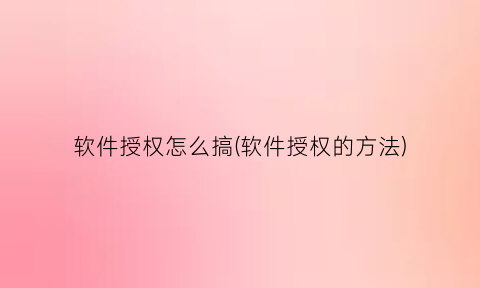 “软件授权怎么搞(软件授权的方法)