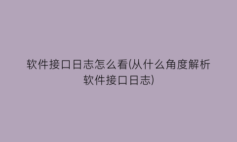 软件接口日志怎么看(从什么角度解析软件接口日志)