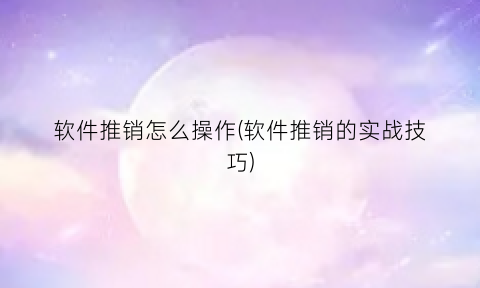 软件推销怎么操作(软件推销的实战技巧)