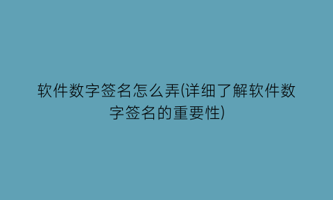 软件数字签名怎么弄(详细了解软件数字签名的重要性)