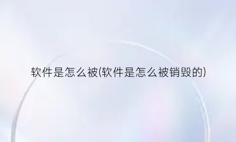 软件是怎么被(软件是怎么被销毁的)