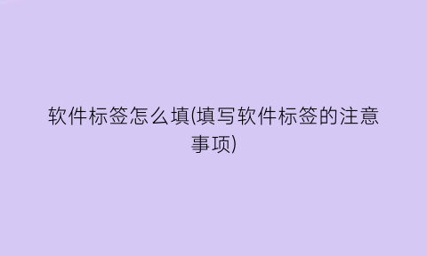 软件标签怎么填(填写软件标签的注意事项)