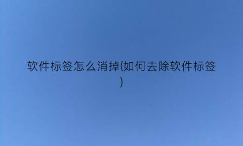 “软件标签怎么消掉(如何去除软件标签)
