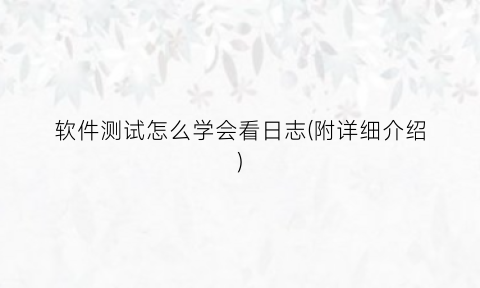 软件测试怎么学会看日志(附详细介绍)