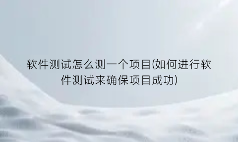 软件测试怎么测一个项目(如何进行软件测试来确保项目成功)