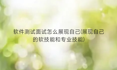 软件测试面试怎么展现自己(展现自己的软技能和专业技能)