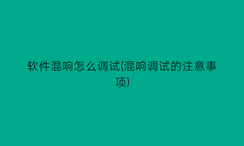 软件混响怎么调试(混响调试的注意事项)