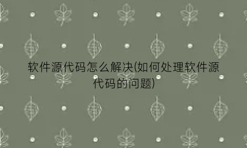 软件源代码怎么解决(如何处理软件源代码的问题)