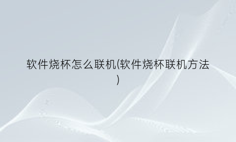 软件烧杯怎么联机(软件烧杯联机方法)