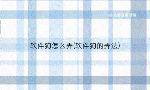 “软件狗怎么弄(软件狗的弄法)
