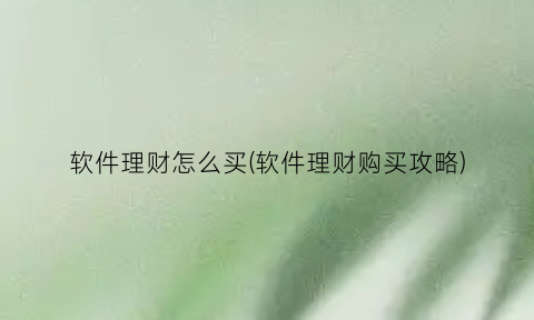 软件理财怎么买(软件理财购买攻略)