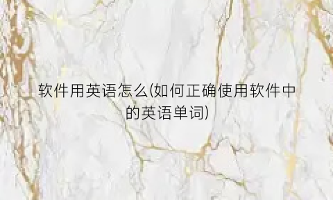 软件用英语怎么(如何正确使用软件中的英语单词)