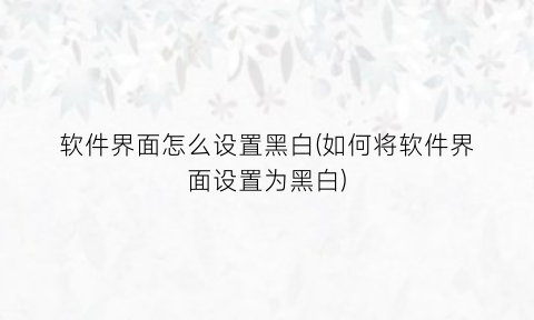 “软件界面怎么设置黑白(如何将软件界面设置为黑白)