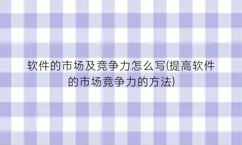 “软件的市场及竞争力怎么写(提高软件的市场竞争力的方法)