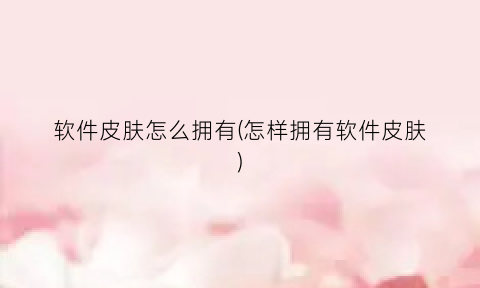 “软件皮肤怎么拥有(怎样拥有软件皮肤)