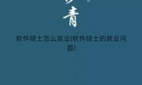 “软件硕士怎么就业(软件硕士的就业问题)