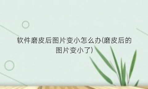 软件磨皮后图片变小怎么办(磨皮后的图片变小了)