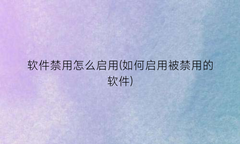 软件禁用怎么启用(如何启用被禁用的软件)