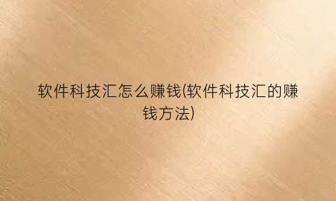 软件科技汇怎么赚钱(软件科技汇的赚钱方法)