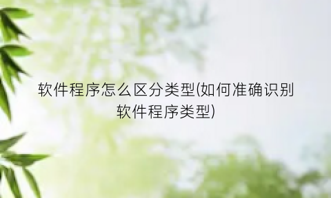 “软件程序怎么区分类型(如何准确识别软件程序类型)