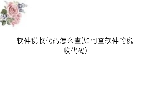“软件税收代码怎么查(如何查软件的税收代码)
