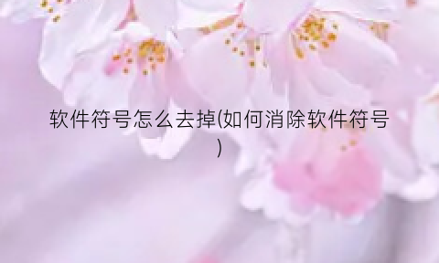 软件符号怎么去掉(如何消除软件符号)