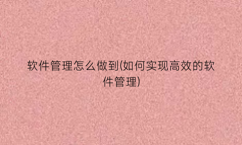 软件管理怎么做到(如何实现高效的软件管理)