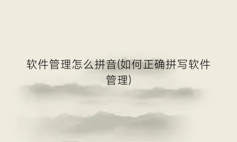 软件管理怎么拼音(如何正确拼写软件管理)