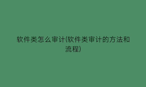 “软件类怎么审计(软件类审计的方法和流程)