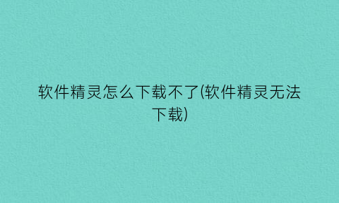 软件精灵怎么下载不了(软件精灵无法下载)