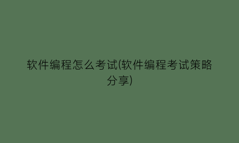 “软件编程怎么考试(软件编程考试策略分享)