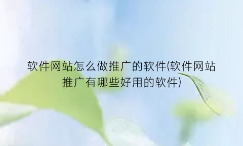 “软件网站怎么做推广的软件(软件网站推广有哪些好用的软件)