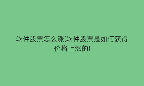 软件股票怎么涨(软件股票是如何获得价格上涨的)