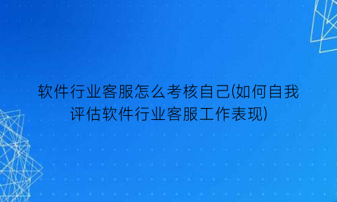 软件行业客服怎么考核自己(如何自我评估软件行业客服工作表现)
