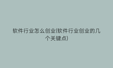 软件行业怎么创业(软件行业创业的几个关键点)