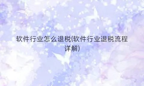 “软件行业怎么退税(软件行业退税流程详解)