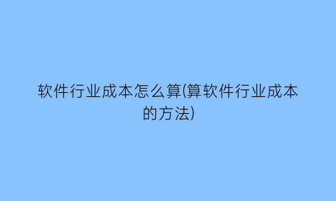 软件行业成本怎么算(算软件行业成本的方法)